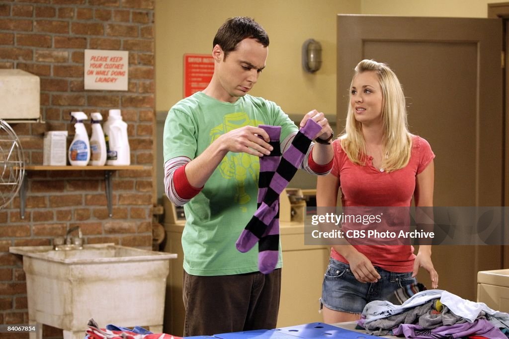 The Big Bang Theory, Season Two