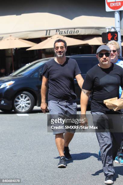Serj Tankian is seen on August 29, 2017 in Los Angeles, California