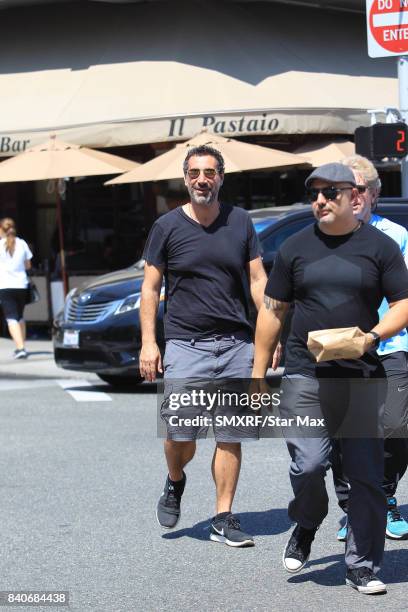 Serj Tankian is seen on August 29, 2017 in Los Angeles, California