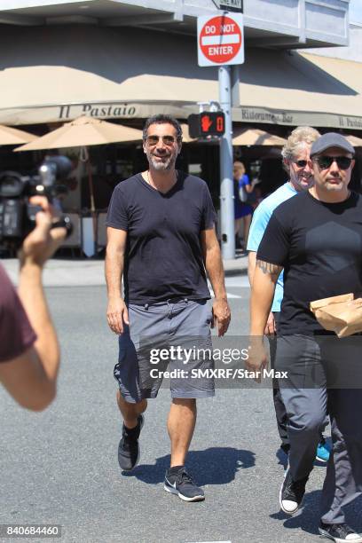 Serj Tankian is seen on August 29, 2017 in Los Angeles, California