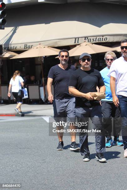 Serj Tankian is seen on August 29, 2017 in Los Angeles, California