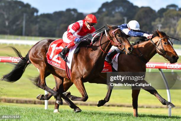 Craig Williams riding Ubin Thunderstruck defeats Ben Melham riding Crocodile Rock in Race 7 during Melbourne Racing at Sandown Hillside on August 30,...