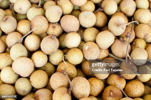 longan - longan stock pictures, royalty-free photos & images