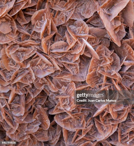 Sand Rosa Sand Rose Photos and Premium High Res Pictures - Getty Images