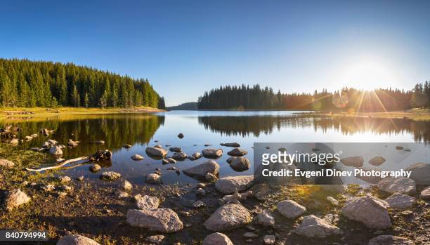 shiroka polyana lake, rhodope, bulgaria - august 2017: sunny landscape of a mountain lake - bulgaria fotografías e imágenes de stock