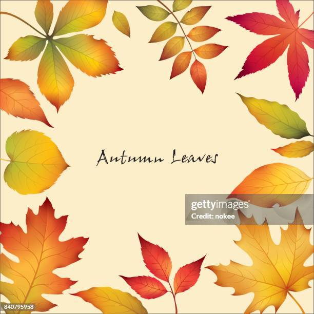 autumn leaves border - leaf border stock illustrations