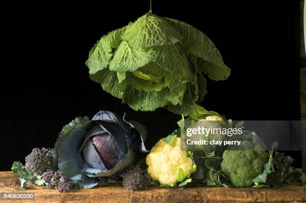 944 Cabbage Savoy Stock Photos, High-Res Pictures, and Images - Getty