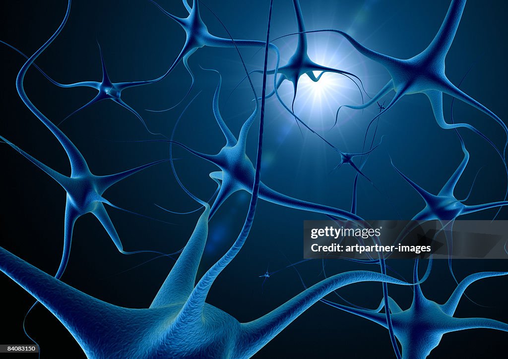 Psychology: neurons and nerves