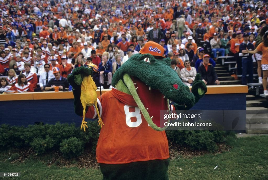 Auburn University vs University of Florida