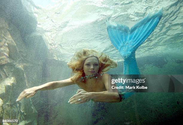 Mermaid" Hannah Fraser swims in the new exhibit at Sydney Aquarium built to house dugongs Pig and Wuru on December 19, 2008 in Sydney, Australia. The...