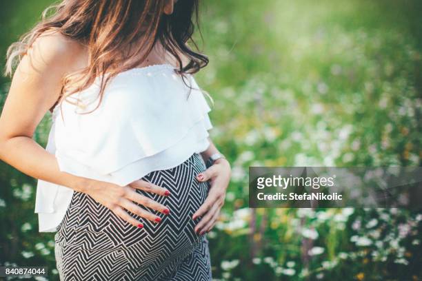 pregnant young woman relaxing - bumpy stock pictures, royalty-free photos & images