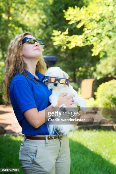watching the eclipse with dog - solar eclipse stock pictures, royalty-free photos & images