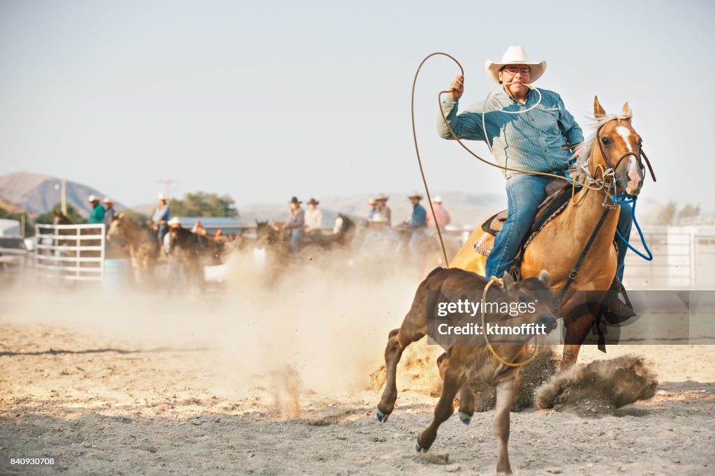 Vaquero en becerro Roping en Rodeo mañana