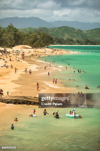 kailua beach park hawaii - kailua beach stock pictures, royalty-free photos & images