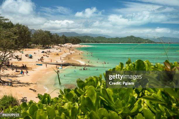 kailua beach park hawaii - kailua beach stock pictures, royalty-free photos & images