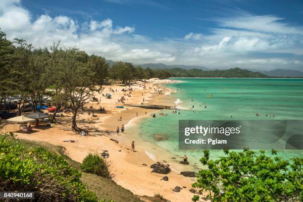 kailua beach park hawaii - kailua beach stock pictures, royalty-free photos & images