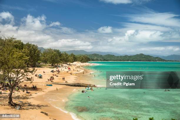 kailua beach park hawaii - kailua beach stock pictures, royalty-free photos & images