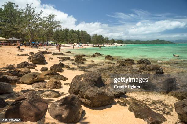 kailua beach park hawaii - kailua beach stock pictures, royalty-free photos & images