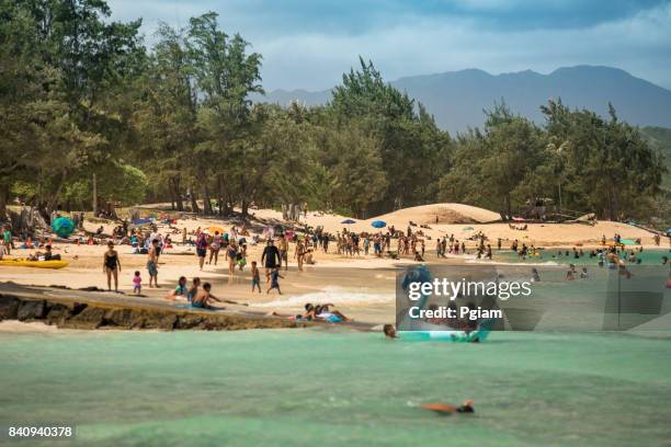 kailua beach park hawaii - kailua beach stock pictures, royalty-free photos & images