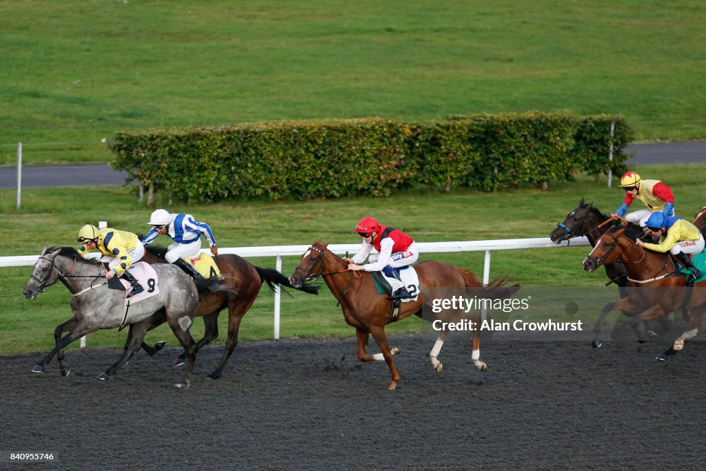 Kempton Races