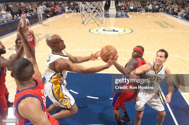 Jarrett Jack of the Indiana Pacers battles Zach Randolph and Eric Gordon of the Los Angeles Clippers at Conseco Fieldhouse on December 19, 2008 in...