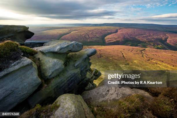 beautiful moorland scenery in the north of england in summer - tor real at fotografías e imágenes de stock