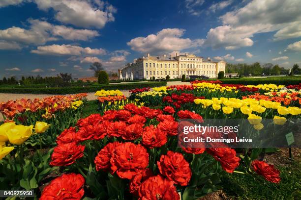 rundale palace - bauska stock-fotos und bilder