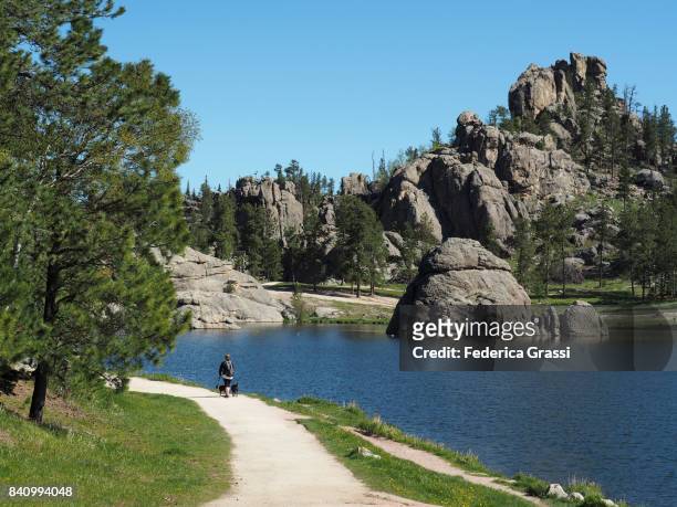 woman walking two dogs along the shore of sylvan lake, south dakota - keystone south dakota 個照片及圖片檔