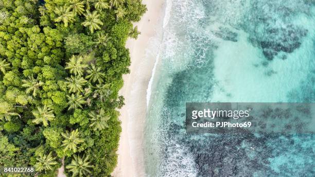 aerial view of anse takamaka -  mahe island - seychelles - beach bird's eye perspective imagens e fotografias de stock