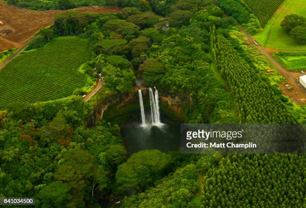 aerial from helicopter of lush rainforest and waterfalls on kauai, hawaii - hawaiian waterfalls fotografías e imágenes de stock