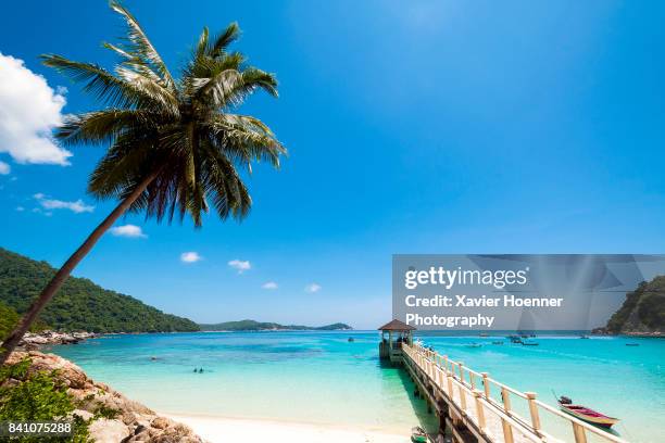 tropical postcard | pulau perhentian - pulau perhentian stock pictures, royalty-free photos & images