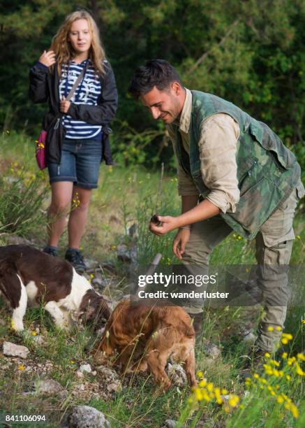 truffel jacht in italië - springerspaniël stockfoto's en -beelden