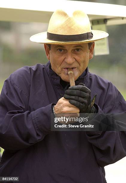 Joe Pesci