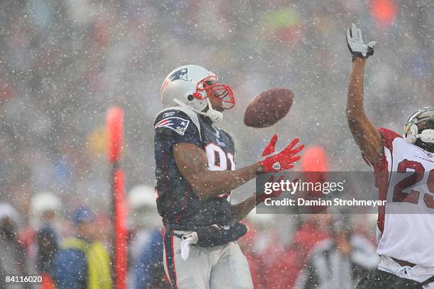 Vs Randy Moss 196 Damian Moss Stock Photos, High-Res Pictures, and Images - Getty Images
