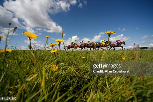 General view as runners race down the back straight in The Molson Group Handicap Stakes at Bath racecourse on August 31, 2017 in Bath, England.