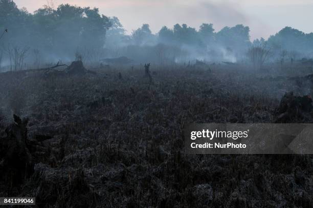Freshly scorched landscape is seen in the early afternoon hours of Augustus 30, 2017 at the Pekanbaru, Riau Provinsi, Indonesia