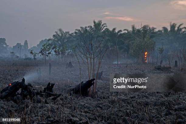 Freshly scorched landscape is seen in the early afternoon hours of Augustus 30, 2017 at the Pekanbaru, Riau Provinsi, Indonesia