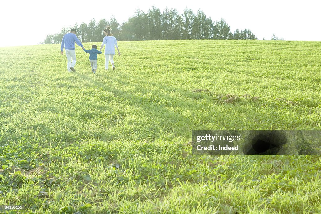 Parents and boy holding hands and walking on field