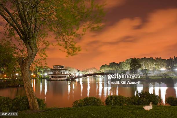 ramat gan national park at midnight - ramat gan stock-fotos und bilder