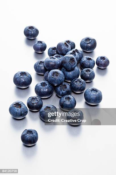 selection of blueberries - blåbär bildbanksfoton och bilder
