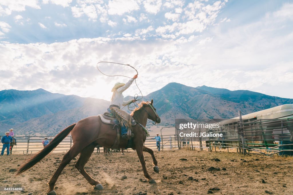 Cowgirl swingende haar lasso klaar om te vangen een kalf voor branding