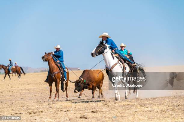 Bull Head Roping 145 The Trussed Bull Stock Photos, High-Res Pictures, and Images ...