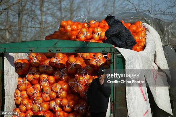 Vendors wait for customers at the Xinfadi Fruit Wholesale Market on December 25, 2008 in Beijing, China. Inflation dropped to a 22-month low in...