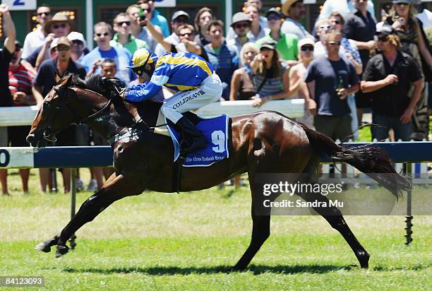 Michael Coleman rides The Heckler to win the Countdown to Karaka race during the New Zealand Herald Christmas Carnival meeting at Ellerslie...