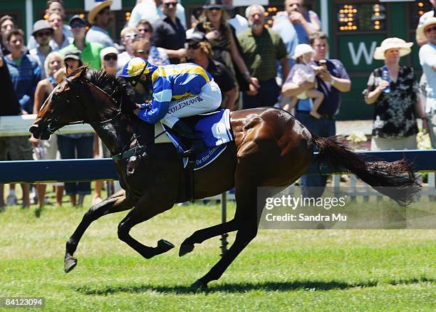 Michael Coleman rides The Heckler to win the Countdown to Karaka race during the New Zealand Herald Christmas Carnival meeting at Ellerslie...