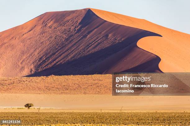 namib desert, sossusvlei sand dunes, namibia, africa - iacomino namibia stock pictures, royalty-free photos & images