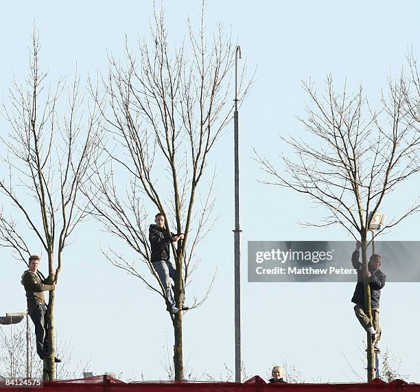 Fans watch from up trees during the Barclays Premier League match between Stoke City and Manchester United at the Britannia Stadium on December 26,...