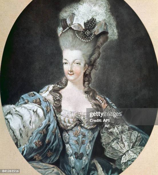 Portrait de la reine Marie-Antoinette en 1784.