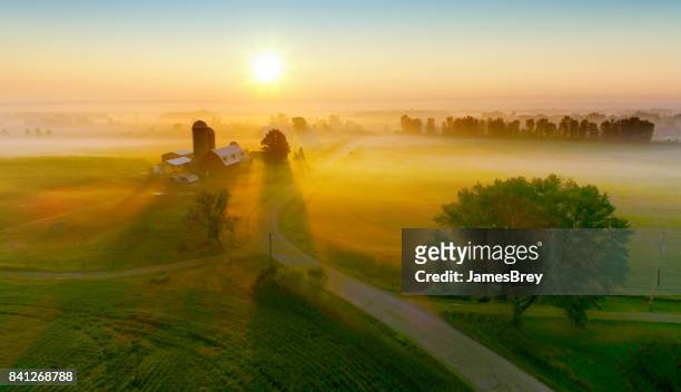 silos e alberi gettano lunghe ombre nella nebbia all'alba. - fattoria foto e immagini stock