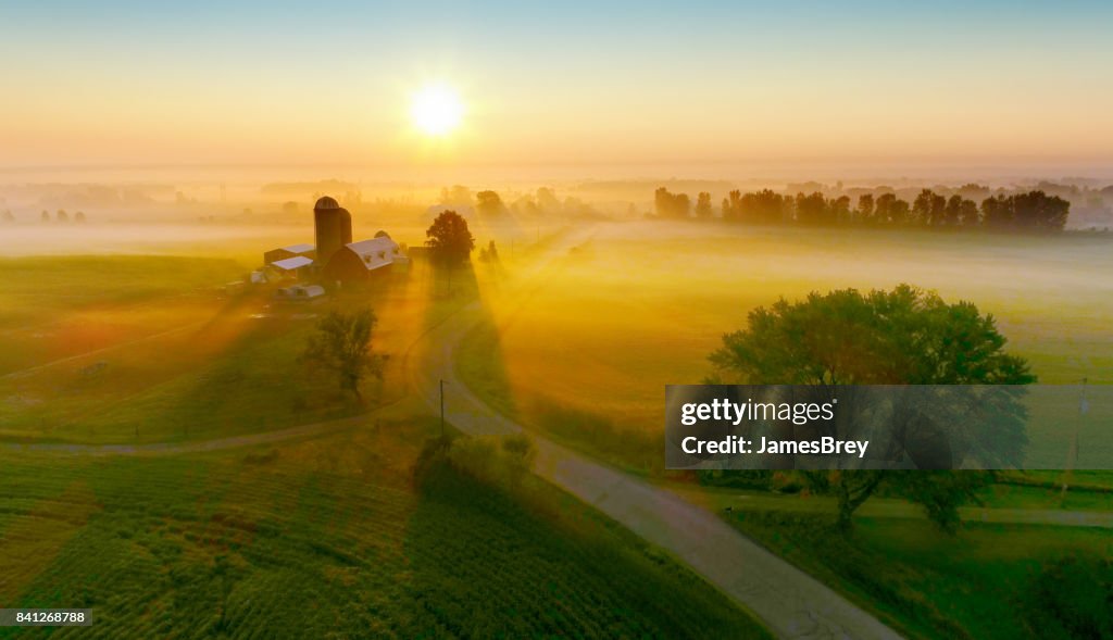 Silos and trees cast long shadows in fog at sunrise.